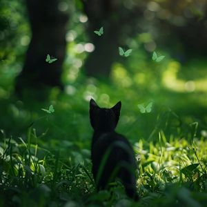 电视剧惊弦45集在线观看免费
