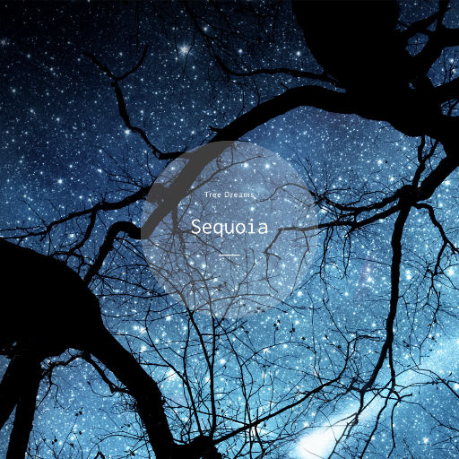 电视剧惊弦45集在线观看免费
